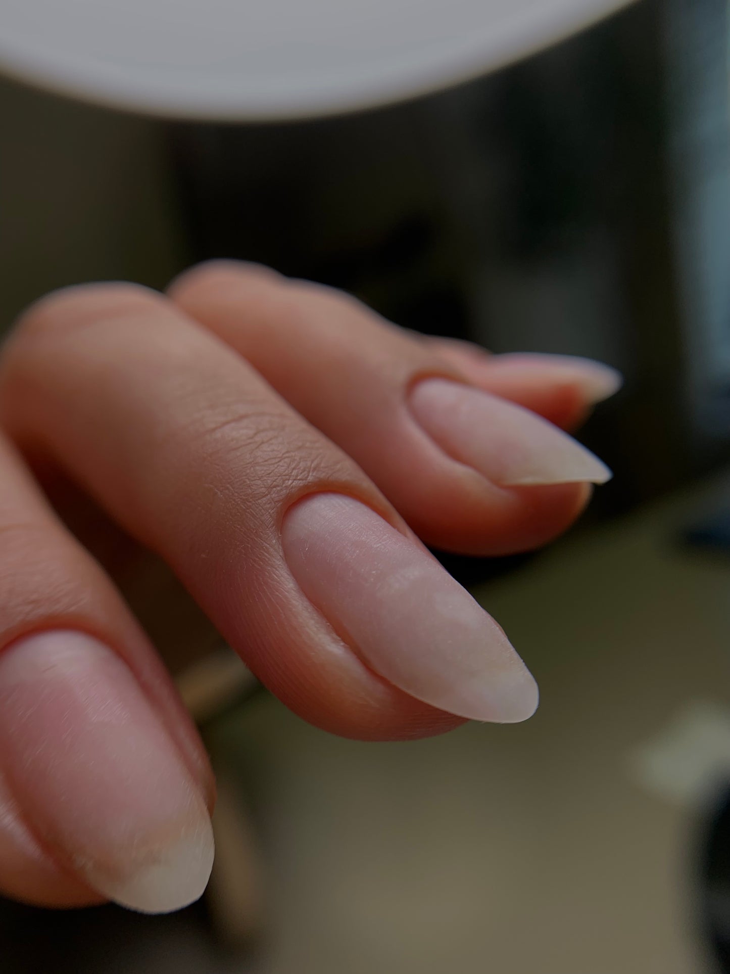 Beginner Russian Manicure Course Sunday August 31